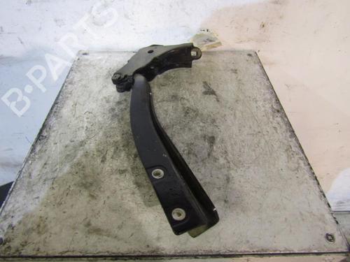 Used Hinge/Door check strap FIAT GRANDE PUNTO (199_) 1.4 (199AXB11, 199AXB1A, 199BXB1A, 199AXL1A) (77 hp) 25090004