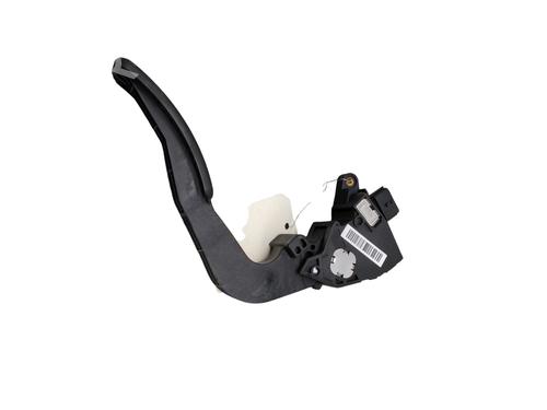 Pedal DACIA DOKKER Box Body/MPV 1.2 TCe 115 (FEM0) | BP30572164I4