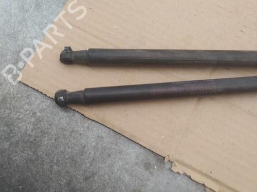 Tailgate lift support NISSAN QASHQAI I (J10, NJ10) 1.5 dCi | BP25101269C138