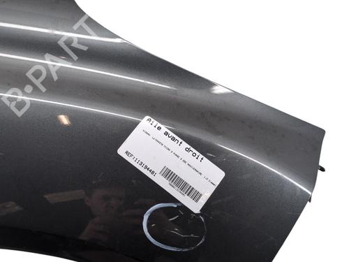 Right front fenders NISSAN MICRA III (K12) 1.5 dCi | BP29560649C42 