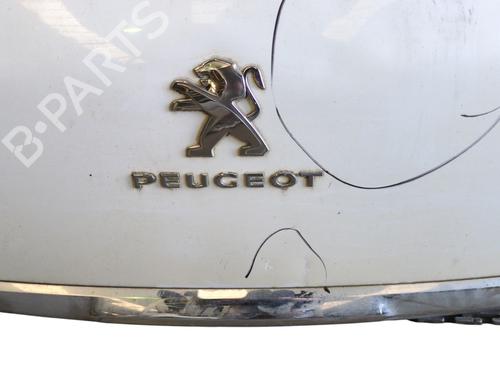 Tailgate PEUGEOT 4008 1.8 HDi AWC | BP29476236C6 