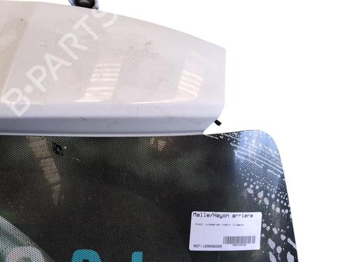 Tailgate PEUGEOT 208 I (CA_, CC_) 1.2 VTI 82 | BP27734330C6 