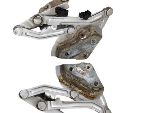 Hinge/Door check strap VW TOUAREG (7LA, 7L6, 7L7) 5.0 V10 TDI | BP25103337C146 