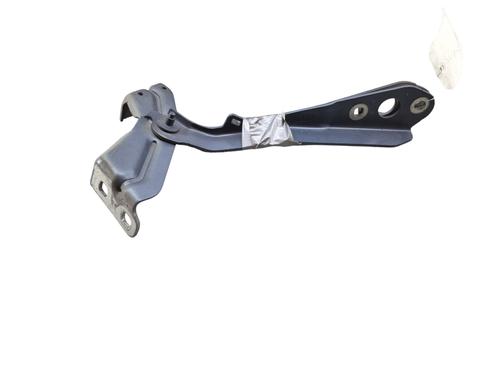 hingedoor-check-strap-renault-master-iii-van-fv-2010-25072111 main image