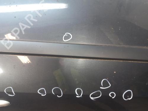 Left front door RENAULT MEGANE II (BM0/1_, CM0/1_)  | BP25058871C2 