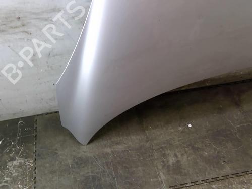 Hood RENAULT SCÉNIC III (JZ0/1_) 2.0 dCi (JZ0Y, JZ26) 651008842R