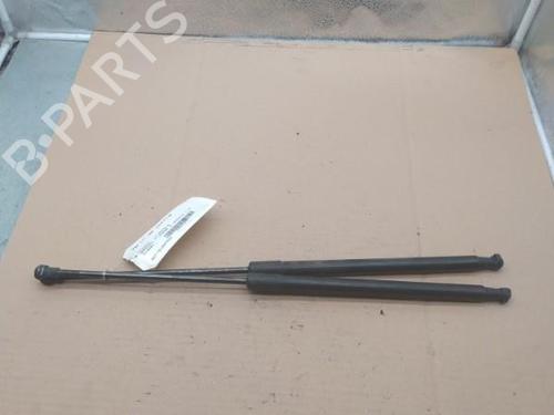 Tailgate lift support NISSAN QASHQAI I (J10, NJ10) 1.5 dCi | BP25101269C138