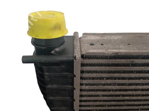 Intercooler Intercooler RENAULT CLIO III (BR0/1, CR0/1) 1.5 dCi (BR17, CR17) (86 hp) 33889329 33889329