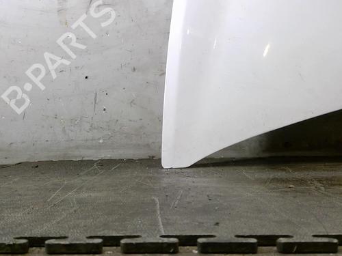 Used Hood RENAULT CLIO III (BR0/1, CR0/1) 1.5 dCi (75 hp) 25068170