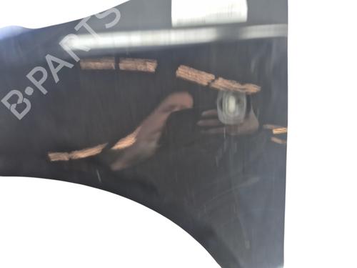 Left front fenders SKODA FABIA II (542) 1.6 TDI | BP29251863C41 