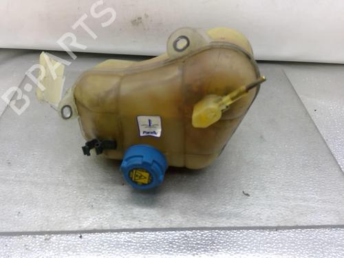 Used Expansion tank FIAT BRAVO II (198_) 1.6 D Multijet (198AXL1B) (120 hp) 25093607