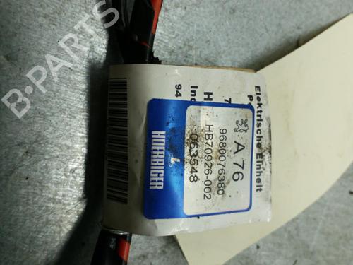 Electronic module PEUGEOT 207 CC (WD_) 1.6 HDi | BP25078090M83 - Image 3