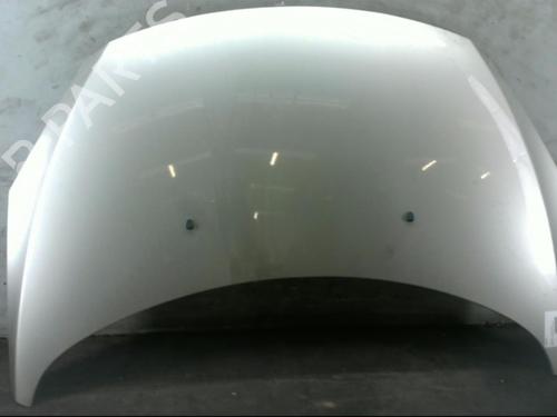 Hood PEUGEOT 307 CC (3B) 2.0 HDi 135 | BP25082061C1
