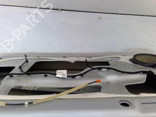 Right front door ALFA ROMEO MITO (955_) 1.6 JTDM (955AXC1B) | BP25110503C3 