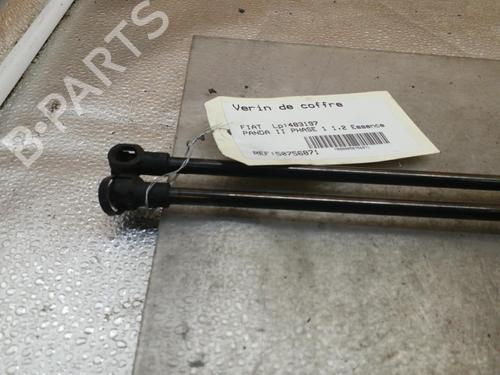 Tailgate lift support FIAT PANDA (169_) 1.2 (169.AXB11, 169.AXB1A) | BP25105394C138 