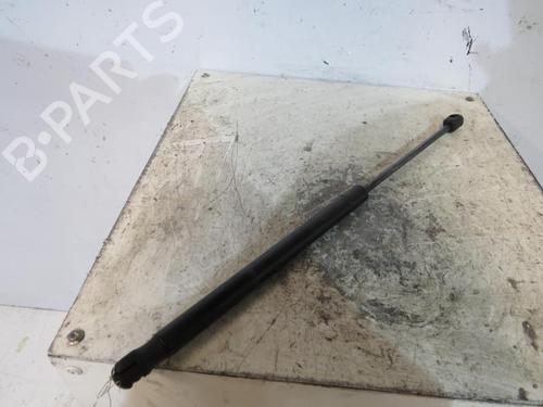 Used Tailgate lift support CITROËN C2 (JM_) 1.4 (75 hp) 25070764