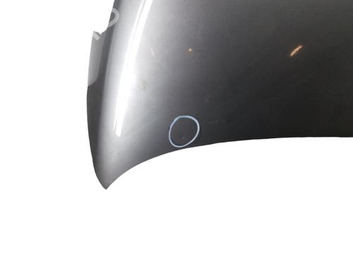 Used Hood FIAT 500 (312_) 1.2 (312AXA1A) (69 hp) 25099998