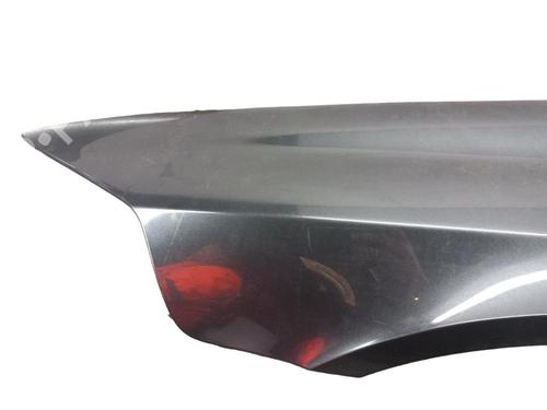 Used Left front fenders RENAULT LAGUNA II (BG0/1_) 1.9 dCi (BG08, BG0G) (120 hp) 25073078