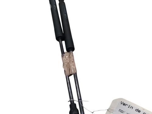 hood-lift-support-renault-kangoo-express-fw01_-2008-33304911 main image