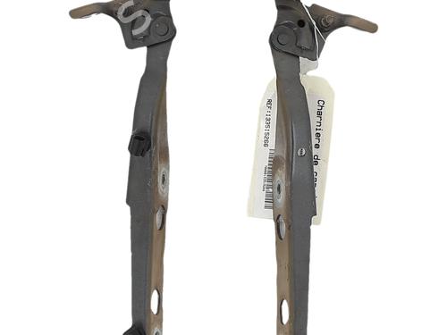 Bisagra/Limitador de puerta Bisagra/Limitador de puerta 39581896 39581896
