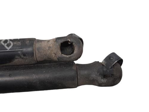 Used Tailgate lift support RENAULT SCÉNIC II (JM0/1_) [2003-2010]  25099691