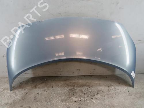Used Hood RENAULT SCÉNIC II (JM0/1_) 1.5 dCi (JM1E, JM16) (106 hp) 25083986