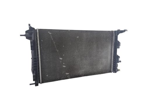 Used Water radiator RENAULT SCÉNIC III (JZ0/1_) 1.2 TCe (JZ16) (132 hp) 31329971
