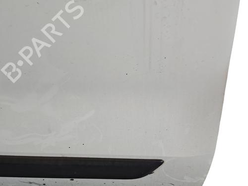 Right front door FIAT FIORINO Box Body/MPV (225_)  | BP25057196C3 