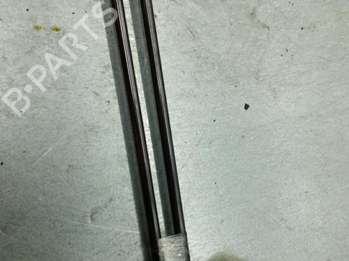 Tailgate lift support VW POLO V (6R1, 6C1)  | BP25062804C138 