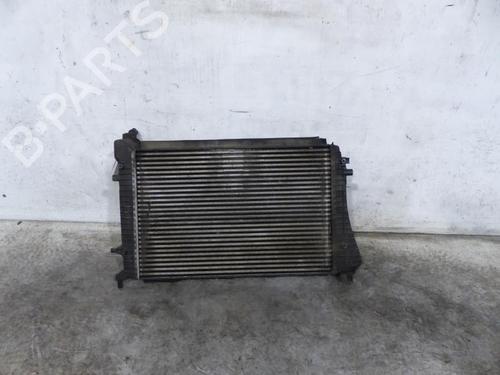 Used Intercooler Intercooler VW PASSAT B6 Variant (3C5) [2005-2011] 25091049 25091049