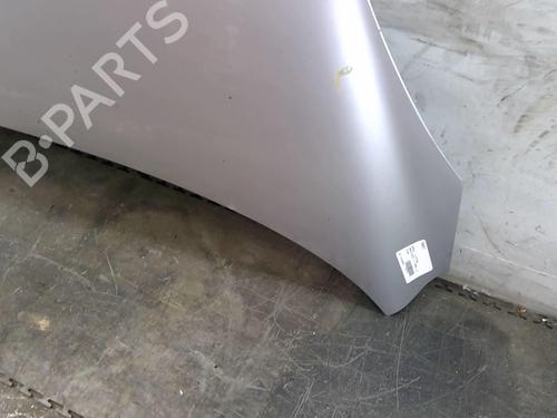 Hood RENAULT SCÉNIC III (JZ0/1_) 2.0 dCi (JZ0Y, JZ26) | BP25110599C1 