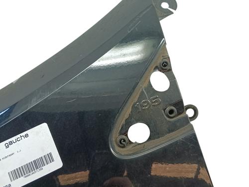 Left front fenders RENAULT CLIO III (BR0/1, CR0/1) 1.2 16V | BP26388338C41 