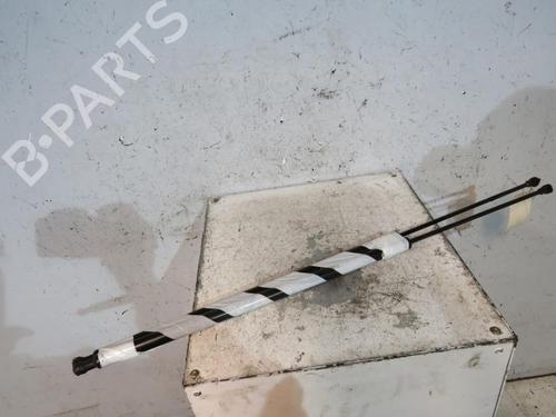Used Tailgate lift support RENAULT KANGOO / GRAND KANGOO II (KW0/1_) 1.5 dCi 90 (KW05, KW08, KW0G, KW11) (90 hp) 25081057