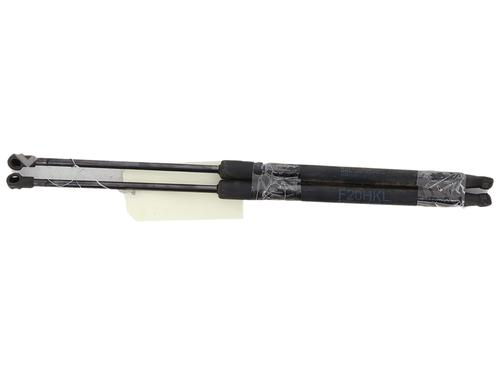 tailgate-lift-support-bmw-1-f20-2011-2012-2013-2014-2015-2016-2017-2018-2019-37749312 main image