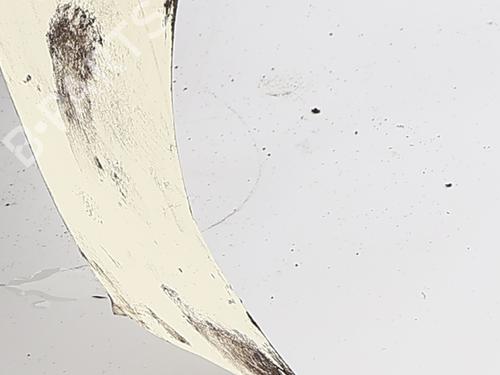 Used Right front steering knuckle Right front steering knuckle RENAULT TRAFIC III Van (FG_) 1.6 dCi 115 (FGMD) (116 hp) 33681941 33681941