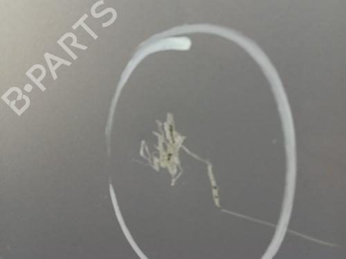 Used Hood FORD GRAND C-MAX (DXA/CB7, DXA/CEU) 1.6 TDCi (115 hp) 31377076