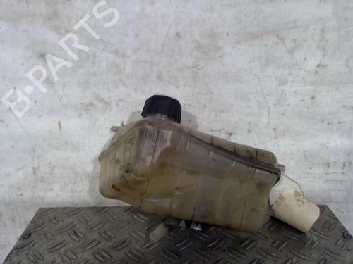 Used Expansion tank RENAULT KANGOO Express (FW0/1_) 1.5 dCi 90 (FW0G, FW05, FW08, FW11) (90 hp) 25068203