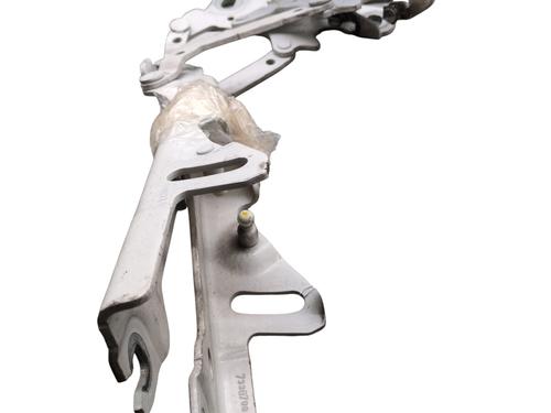 Hinge/Door check strap BMW 1 (F21) 114 d | BP27837257C146 