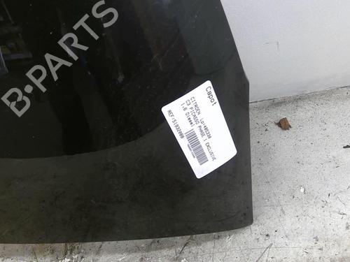 Hood CITROËN C3 I (FC_, FN_)  | BP25105197C1 