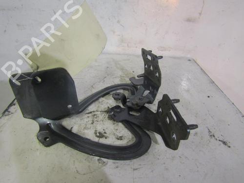Used Hinge/Door check strap PEUGEOT 1007 (KM_) 1.6 HDi (109 hp) 25078890