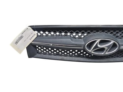 Grille HYUNDAI TUCSON (JM) 2.0 CRDi All-wheel Drive | BP29222133C40 