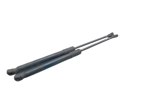 Used Tailgate lift support RENAULT KADJAR (HA_, HL_) 1.5 dCi 110 (HLA3) (110 hp) 25059386