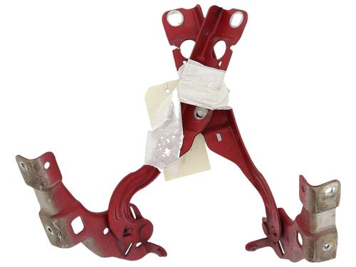 hingedoor-check-strap-citroen-c4-ii-nc_-2009-36401866 main image
