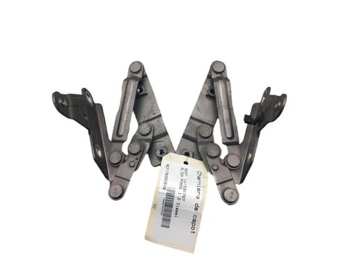 Hinge/Door check strap SEAT ALTEA (5P1)  | BP25058915C146 