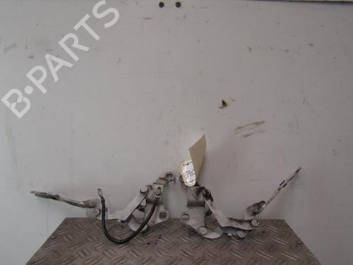 Hinge/Door check strap BMW 1 (E87) 118 d | BP25082850C146 