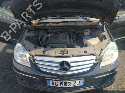 Hinge/Door check strap MERCEDES-BENZ B-CLASS Sports Tourer (W245) B 200 CDI (245.208) | BP25081764C146 