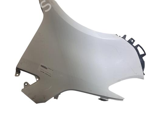 Used Left front fenders MERCEDES-BENZ SPRINTER 3,5-t Van (B907, B910) 314 CDI RWD (907.631, 907.633, 907.635, 907.637) (143 hp) 31216249