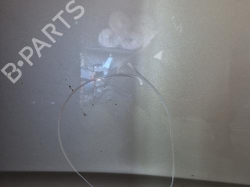 Hood TOYOTA COROLLA Verso (ZER_, ZZE12_, R1_)  | BP25102354C1 