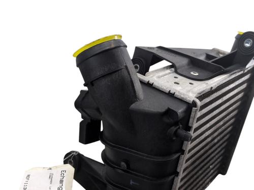 Ladeluftkühler VW POLO IV (9N_, 9A_) 1.4 TDI | BP29898101M30