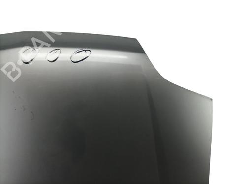 Hood NISSAN X-TRAIL I (T30) 2.2 dCi 4x4 | BP25102641C1 